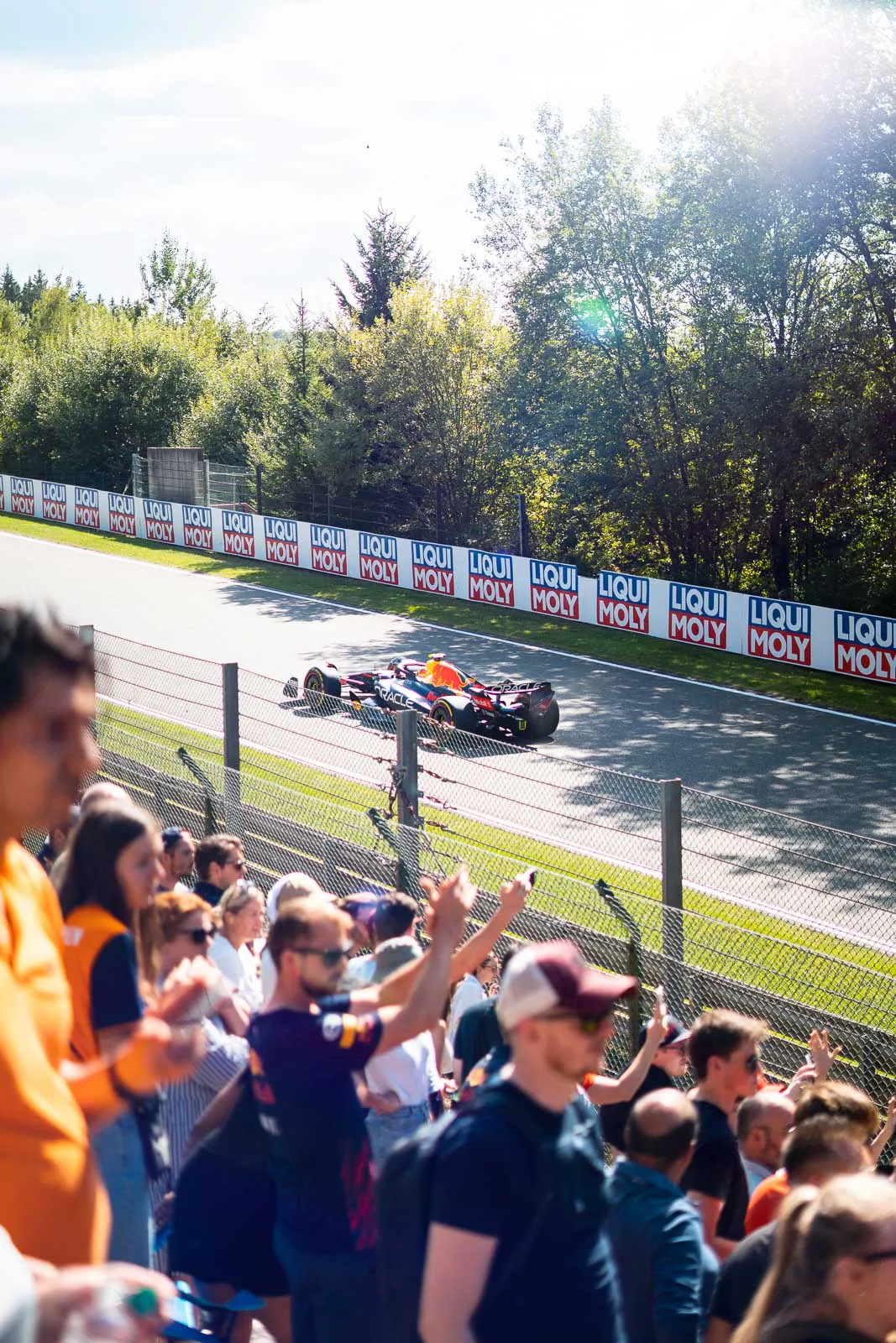 RedBull-Formel-1-Wagen auf sonniger Rennstrecke, jubelnde Fans hinter dem Zaun, Bäume im Hintergrund.