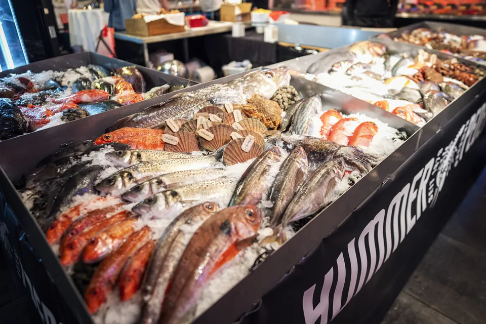 Frische Fische, Jakobsmuscheln und Krustentiere auf Eis in einer beleuchteten Auslage bei Hummer Pedersen.