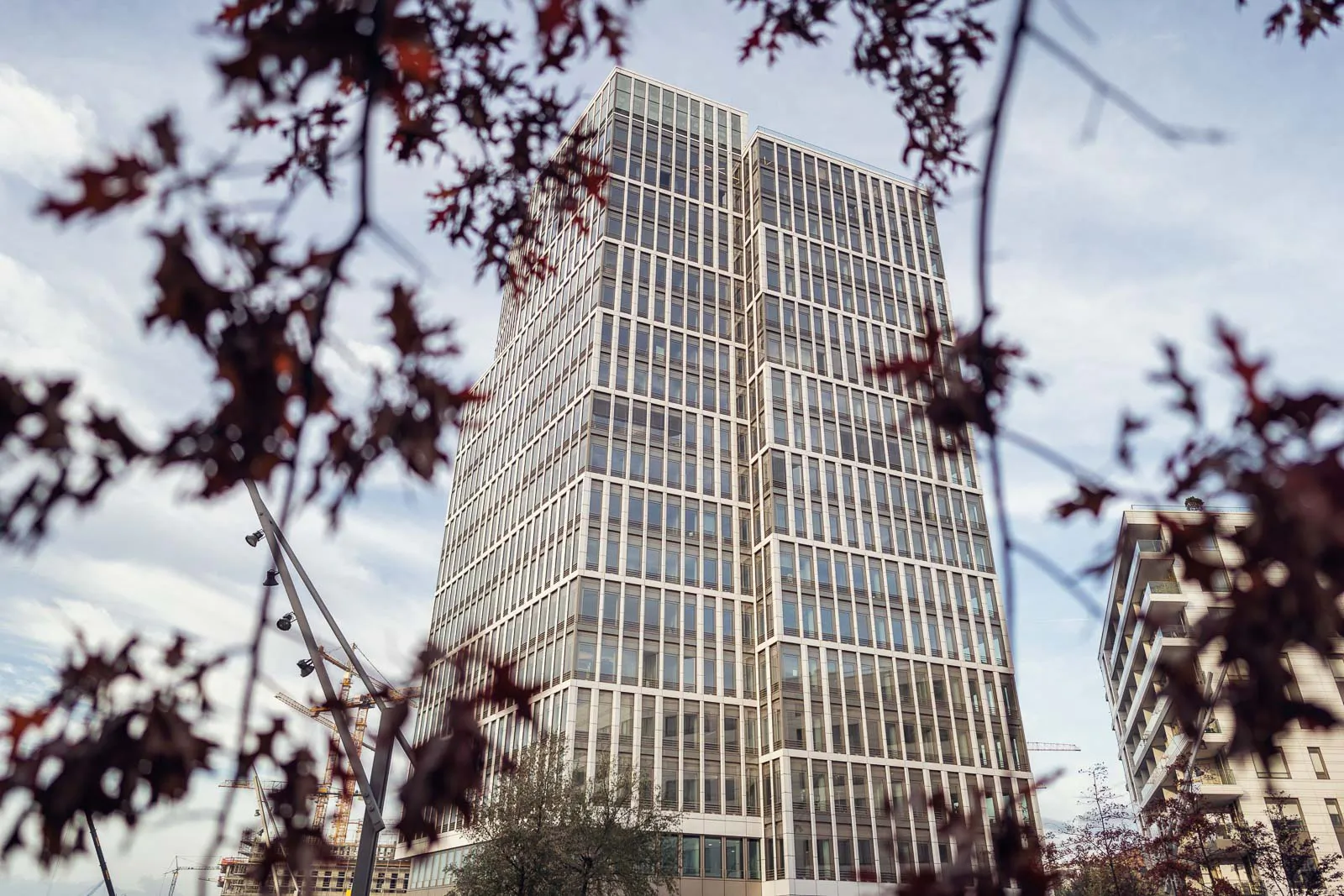 Modernes Bürohochhaus mit gerasterter Glasfassade, eingerahmt von dunklen Blättern vor bewölktem Himmel.