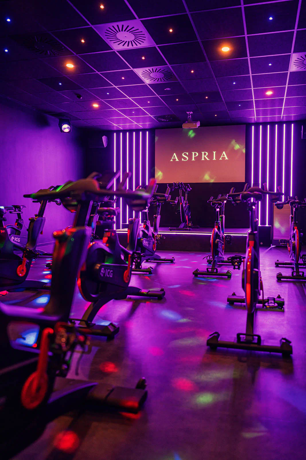 Leerer Indoor-Cycling-Raum mit Spinningrädern, violettem Licht und einer Projektionsfläche an der Stirnwand.