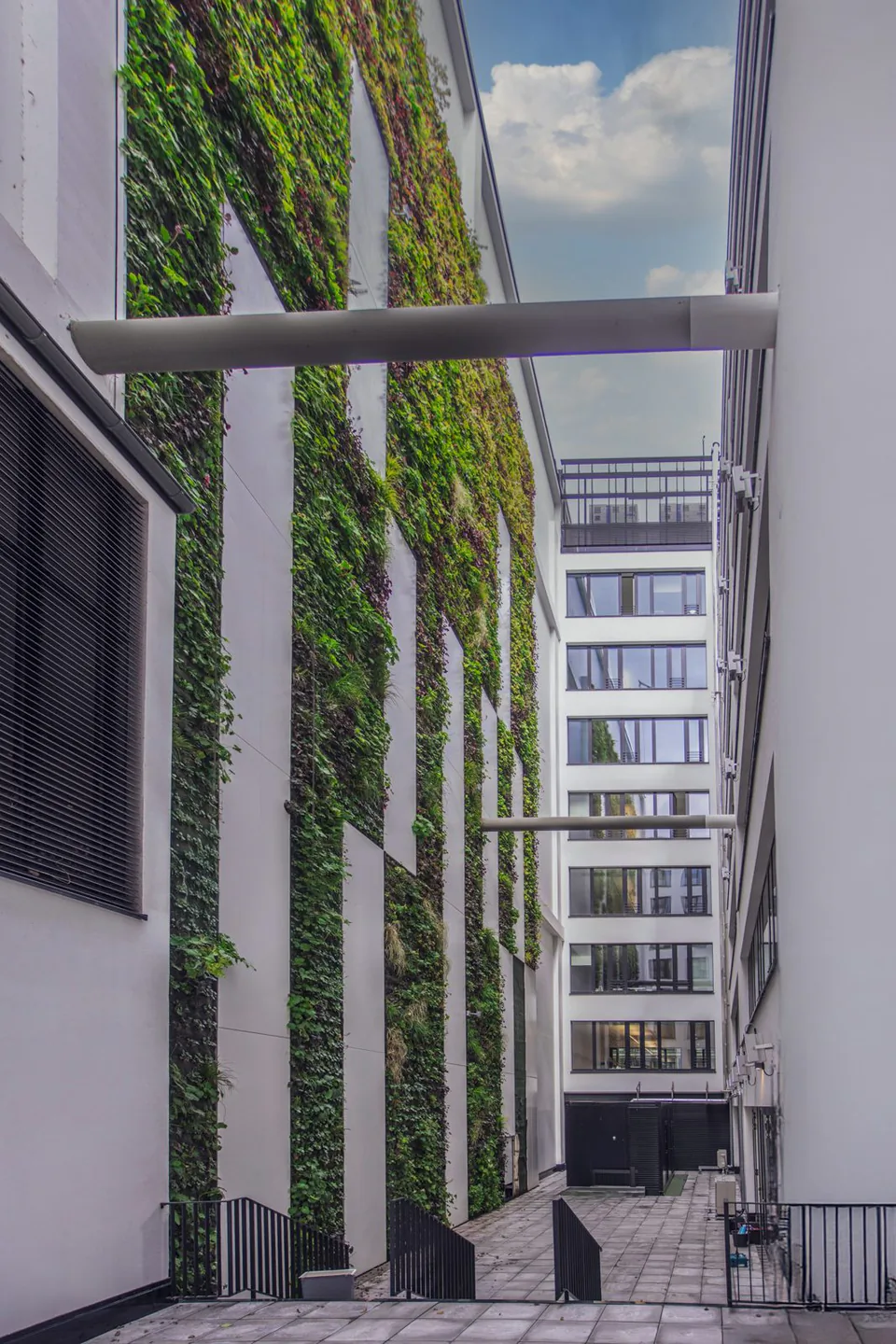 Schmaler Innenhof mit begrünter Fassade, weißen Wänden, Treppen und Fensterfront bei Tageslicht.