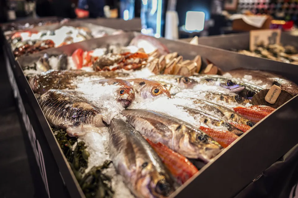 Ganze Fische, Krabben und Muscheln auf zerstoßenem Eis in einer beleuchteten Fischtheke.