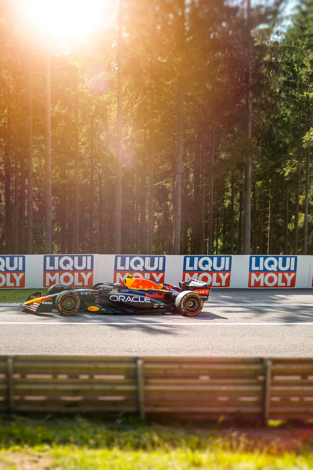 RedBull-Racing-F1-Wagen auf der Rennstrecke vor Wald und Werbebanden im warmen Gegenlicht.
