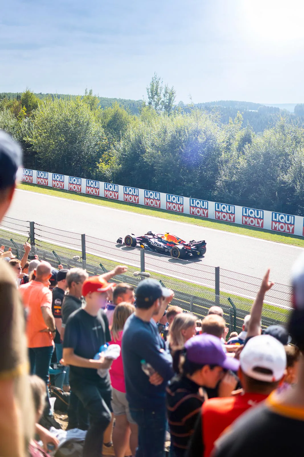 RedBull-Formel-1-Wagen auf sonniger Rennstrecke, Zuschauer hinter dem Sicherheitszaun, Wald im Hintergrund.